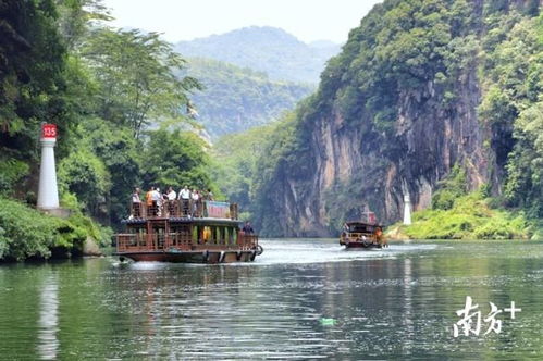 連州水晶梨采摘季開啟廣東農旅精品盛宴,你打卡了嗎