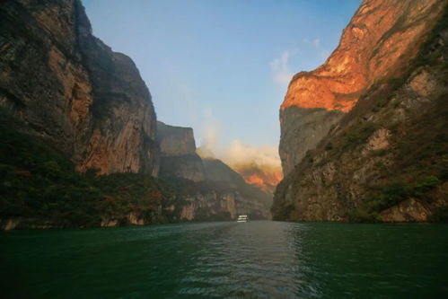 春天來了 巫山李花節(jié)助推三峽旅游復(fù)蘇