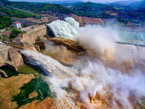 速看 洛陽多項沿黃文旅項目入選河南黃河沿線十大主推產品