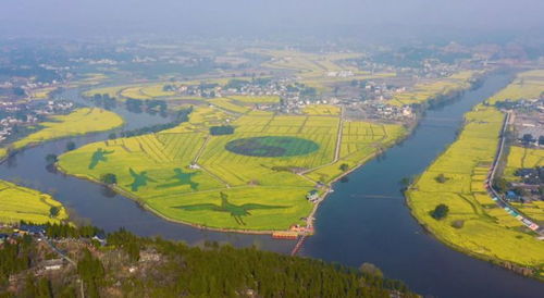 重慶推出81條鄉村休閑旅游春季精品線路 邀你感受鄉村 慢時光