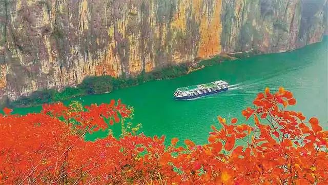 奉節(jié)轉(zhuǎn)型,有詩有橙有遠方!