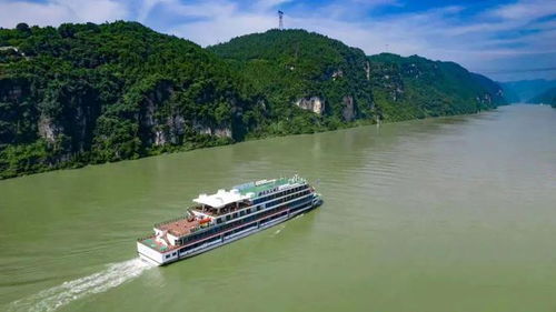 三峽旅游 一季度復蘇明顯,凈利增長超40