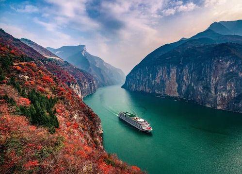 現在來三峽看紅葉,時間正好 美得好像天然畫卷