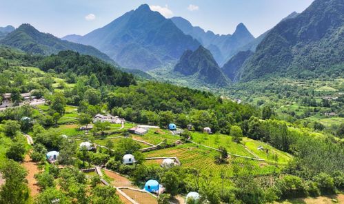 陜甘五縣來渝推介文旅 邀重慶游客體驗秦嶺秘境