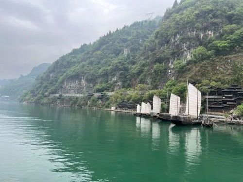 一趟看盡巴山蜀水 三峽大壩, 靜安 夷陵號 旅游專列游客大呼過癮
