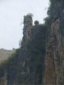 正是春花爛漫日 長(zhǎng)江三峽旅行日志之瞿塘峽