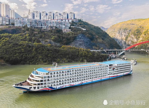 長江三峽游輪旅游,華夏神女3號游輪從重慶到宜昌4天3晚旅游
