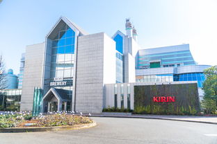 解鎖橫濱周邊最好玩的小眾景點