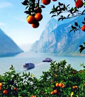 三峽之巔 詩橙奉節(jié) 奉節(jié)消費扶貧館將亮相重慶主城，特色山貨與旅游相得益彰